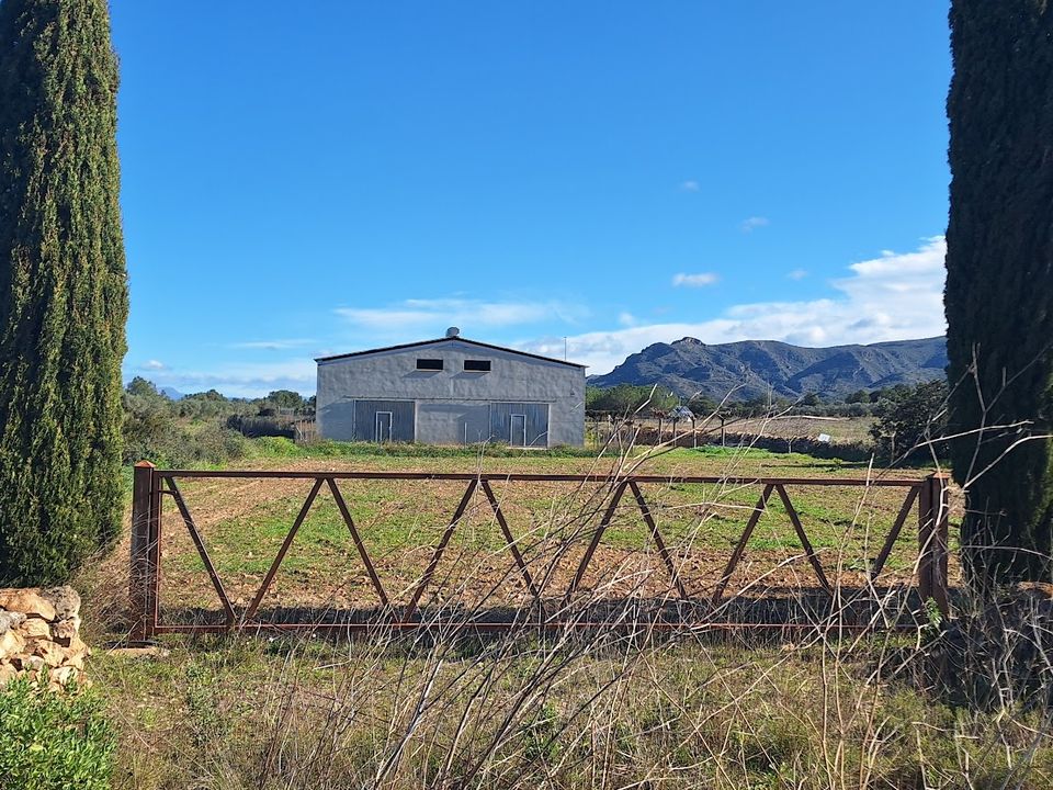 Finca i Ginestar, Tarragona - bilde 2